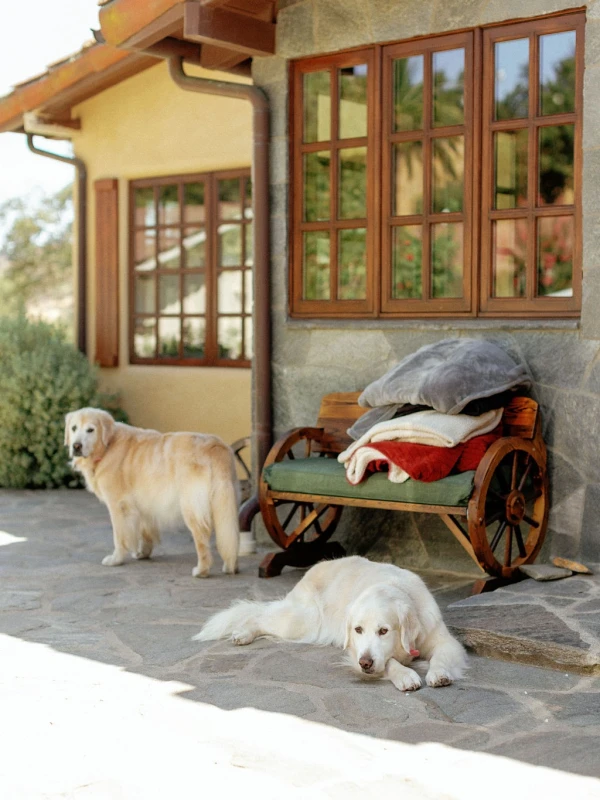 A Waterfront Wedding for Abby and Bobby