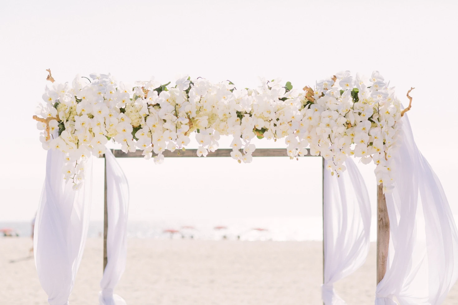 Adorations Botanical Artistry