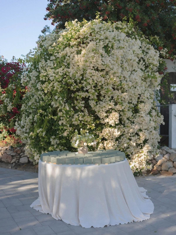 A Garden Wedding for Alexandra and Wesley