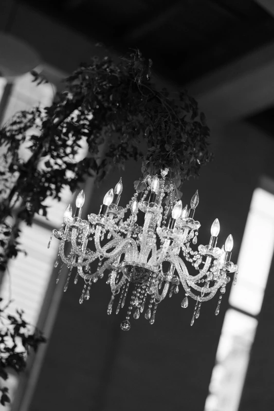 An Enchanted Wedding for Andrea and Kyle