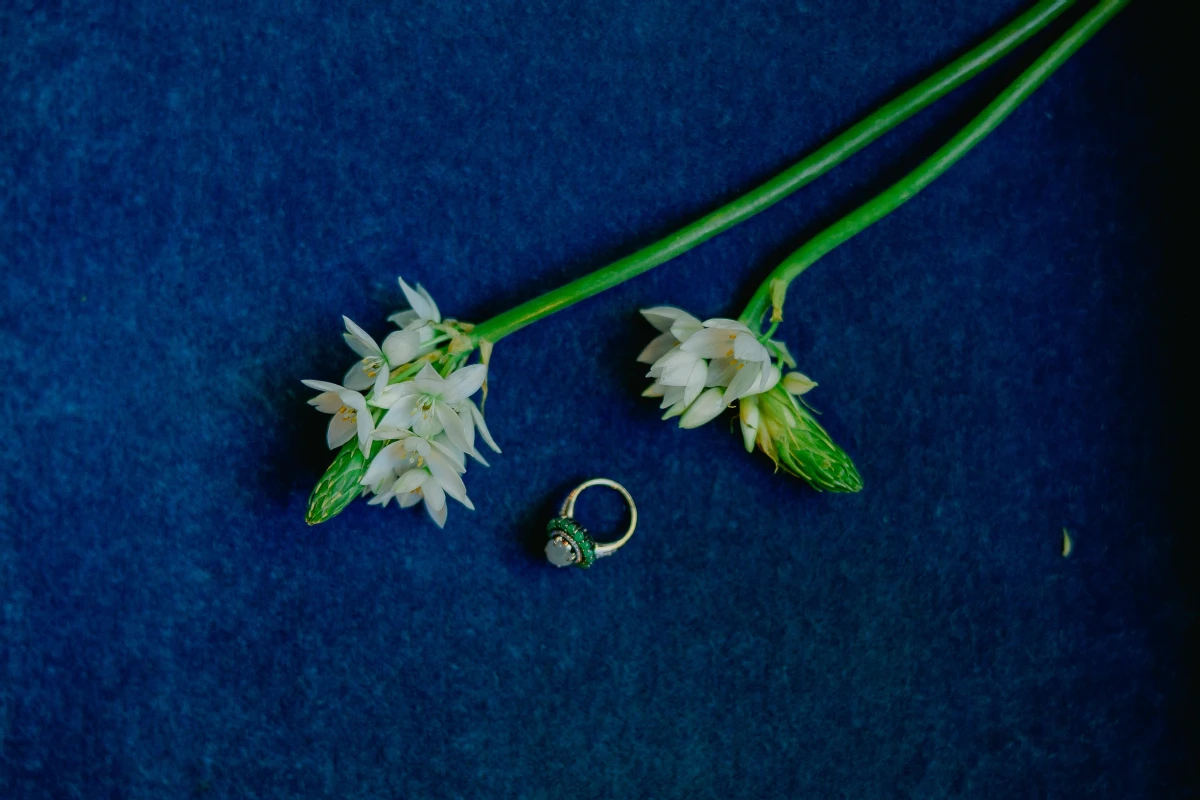 A Cinematic Wedding for Ashley and Quinn