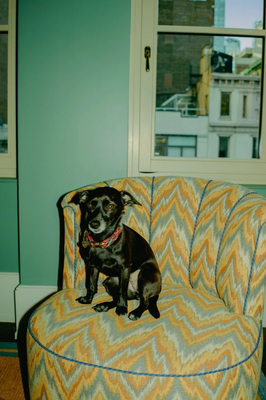 A Cinematic Wedding for Ashley and Quinn