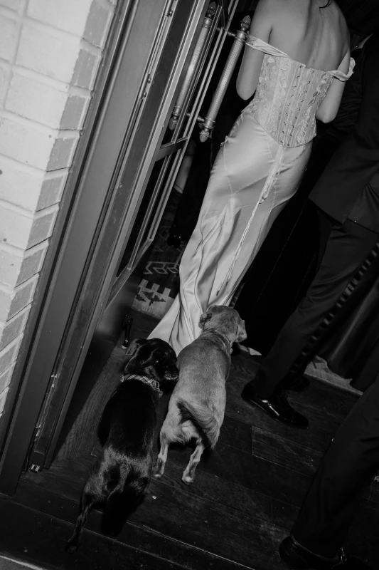 A Cinematic Wedding for Ashley and Quinn