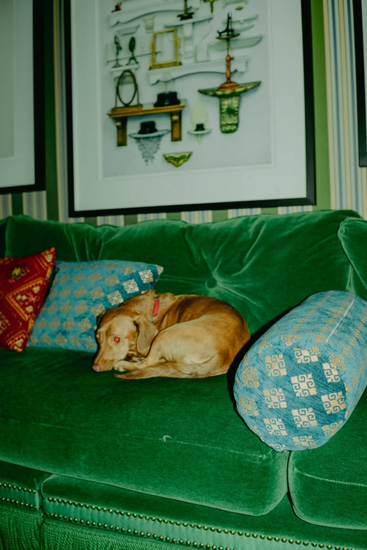 A Cinematic Wedding for Ashley and Quinn