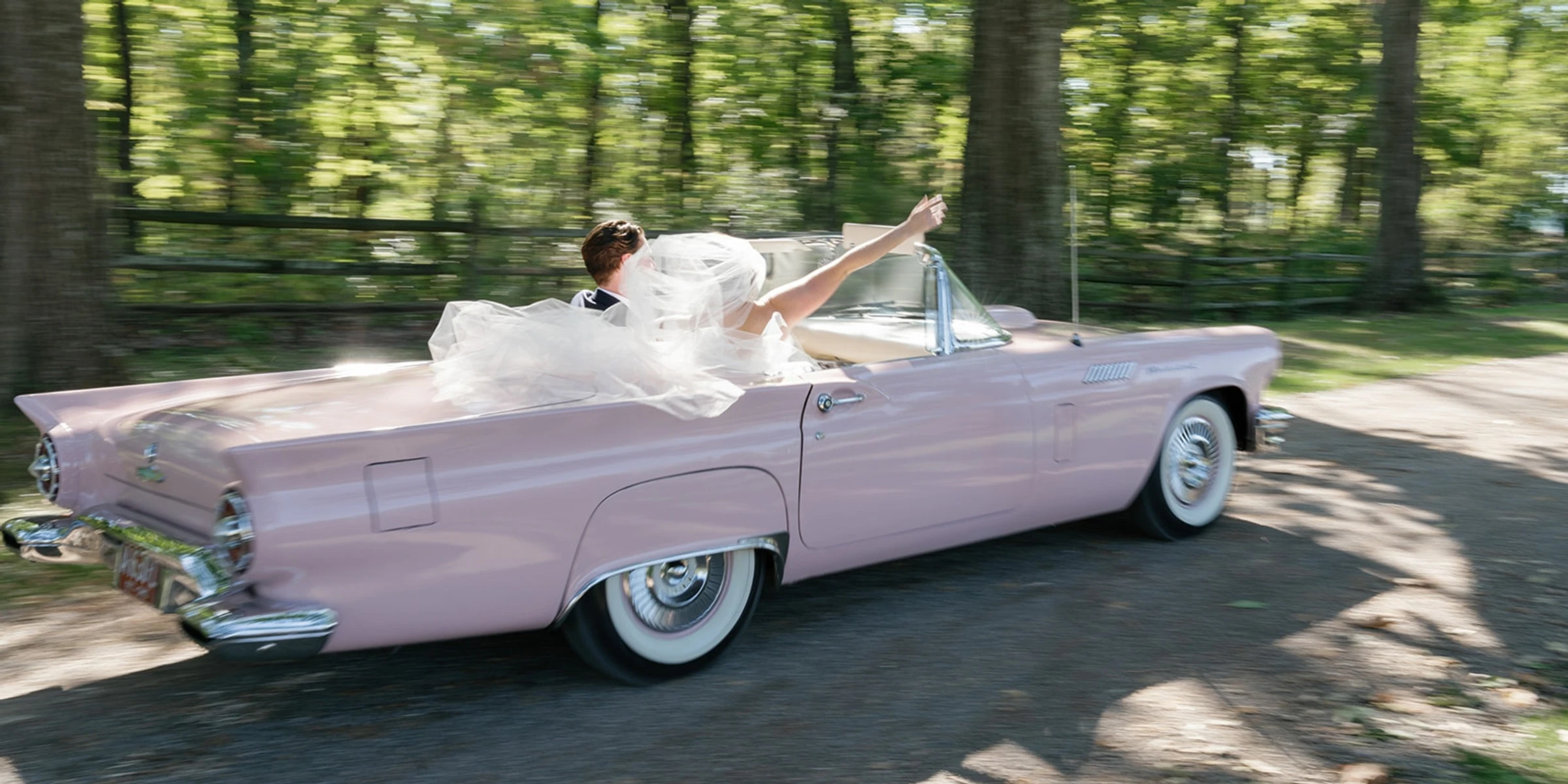 Chelsey Barhorst Photography