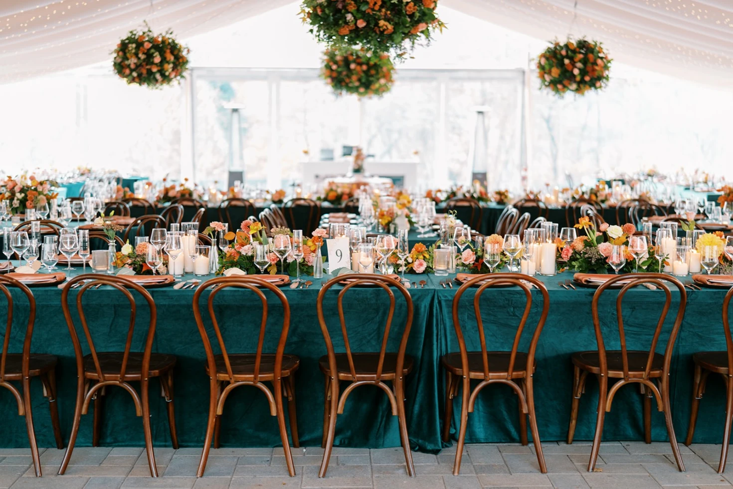 Chelsey Barhorst Photography