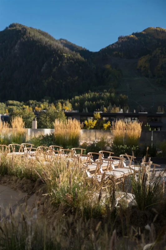 An Modern Wedding for Elizabeth and Matt