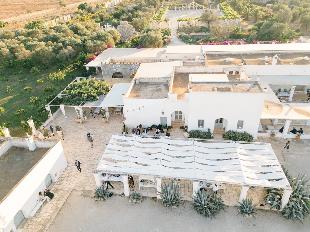 Emily Choy Photography