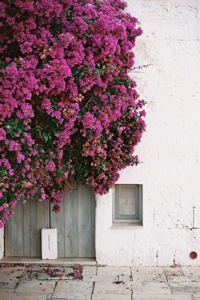 Emily Choy Photography