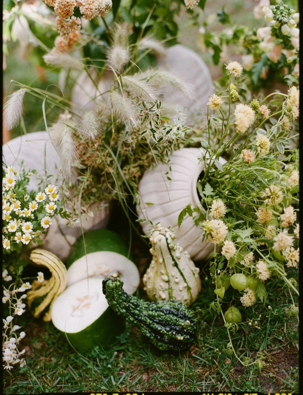 A Intimate Wedding for Iris and Lei