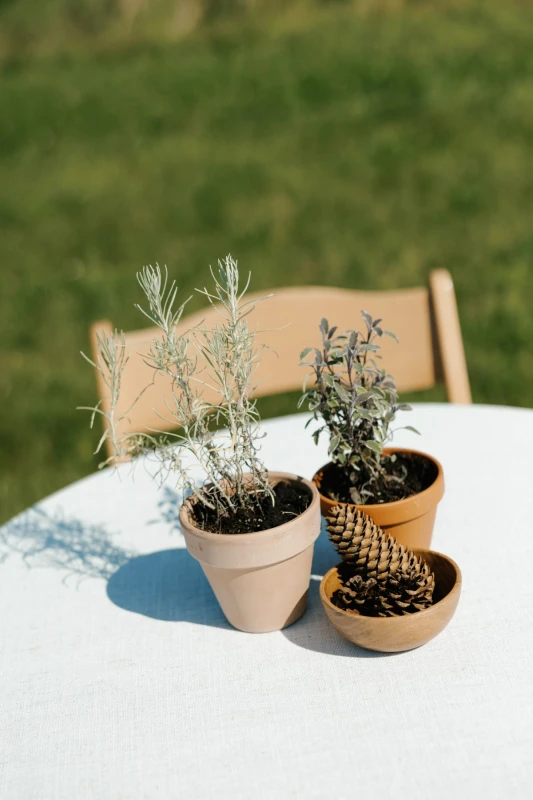 A Whimsical Wedding for Maddie and Bradley