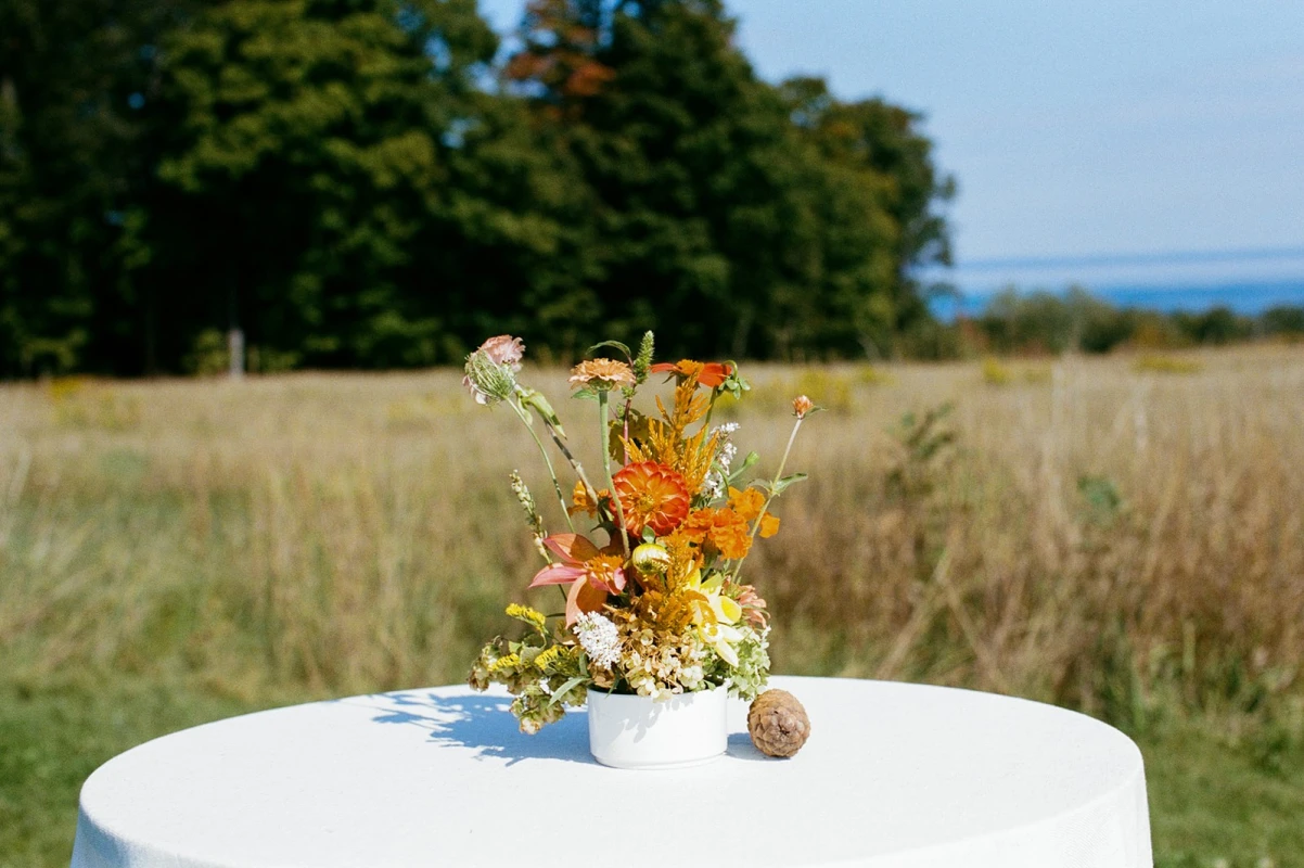 A Whimsical Wedding for Maddie and Bradley