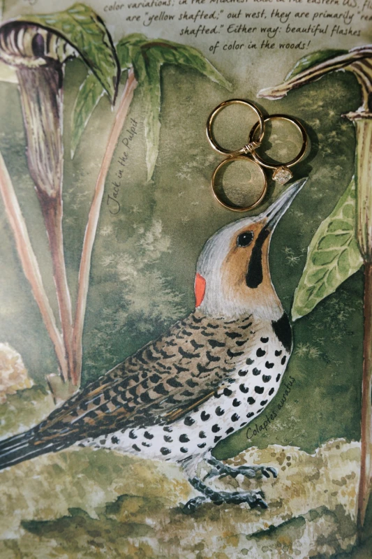 A Whimsical Wedding for Maddie and Bradley