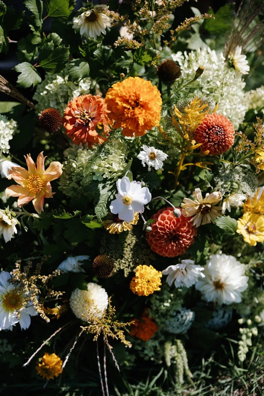 A Whimsical Wedding for Maddie and Bradley