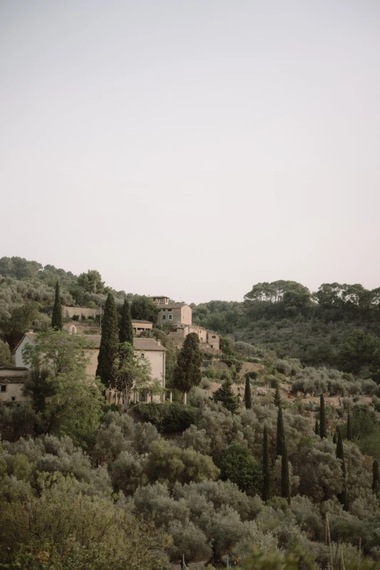 A Sun-Washed Wedding for Michaela and Jimmy