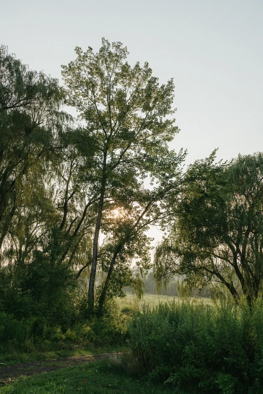 An Intimate Getaway Wedding for Noni and Adam