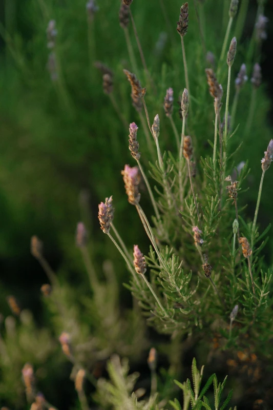 An Autumn Wedding for Rachel and Cole