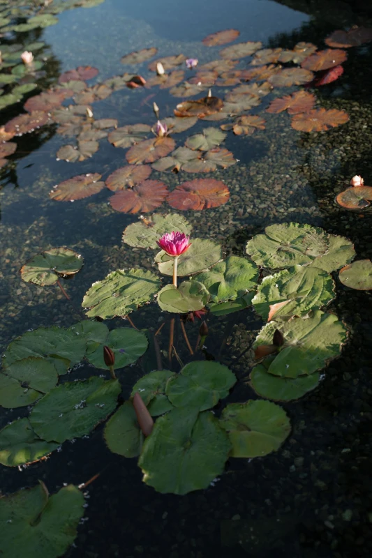 An Autumn Wedding for Rachel and Cole