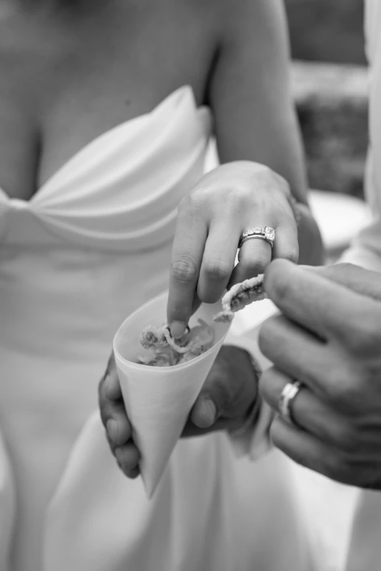 A Picturesque Wedding for Rachel  and Domenic 