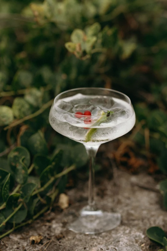 A Picturesque Wedding for Rachel  and Domenic 