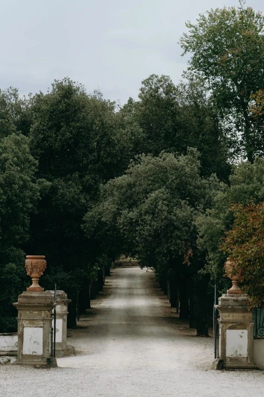 A Picturesque Wedding for Rachel  and Domenic 