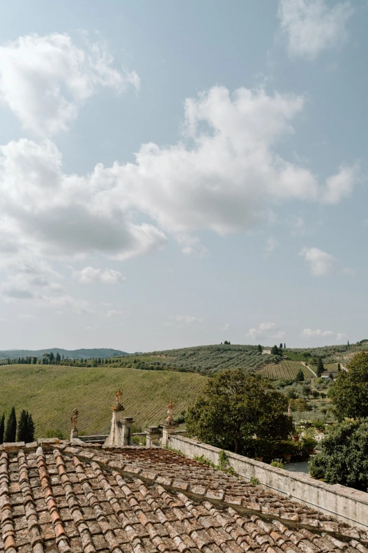 A Picturesque Wedding for Rachel  and Domenic 