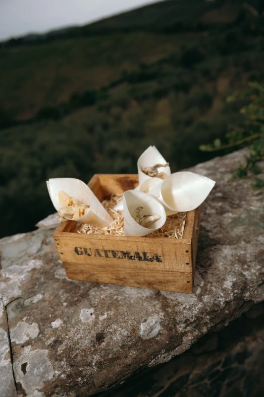 A Picturesque Wedding for Rachel  and Domenic 