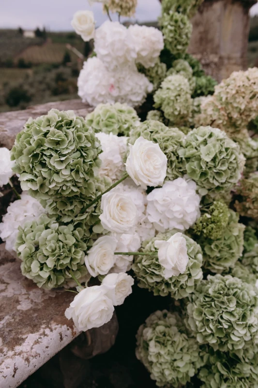 A Picturesque Wedding for Rachel  and Domenic 