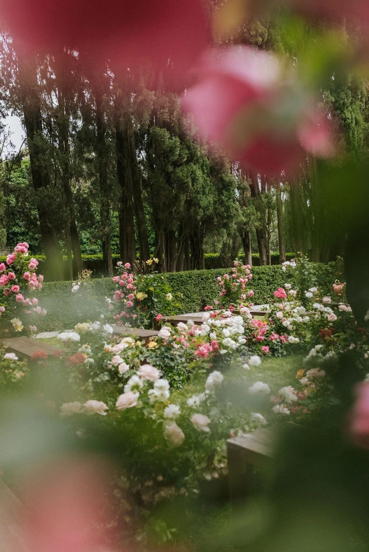 A Garden Wedding for Sarah and James