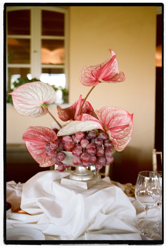 A Garden Wedding for Sarah and James