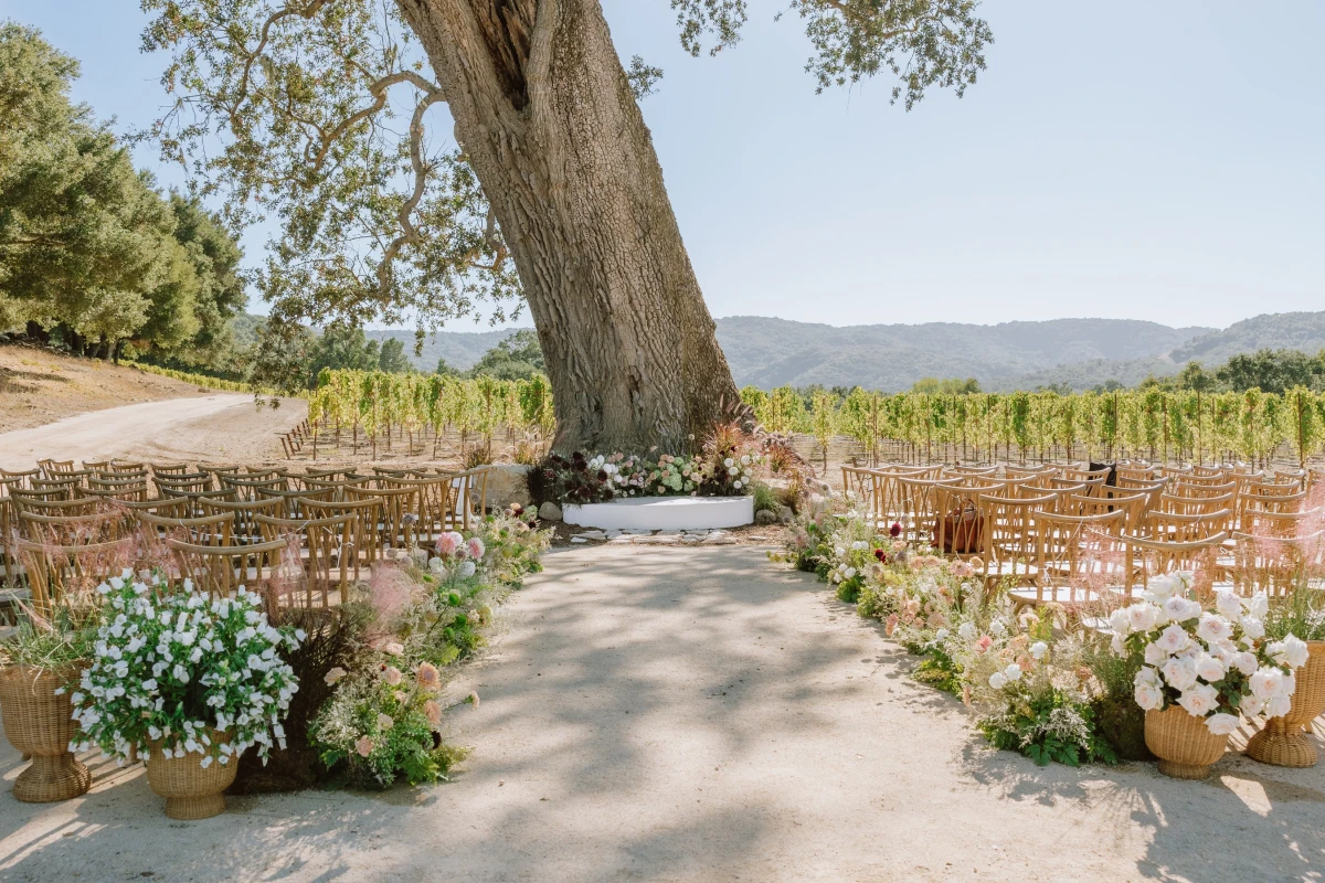 A Vineyard Wedding for Taylor and Brock