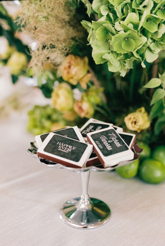 An Elevated Wedding for Vanessa and Michael