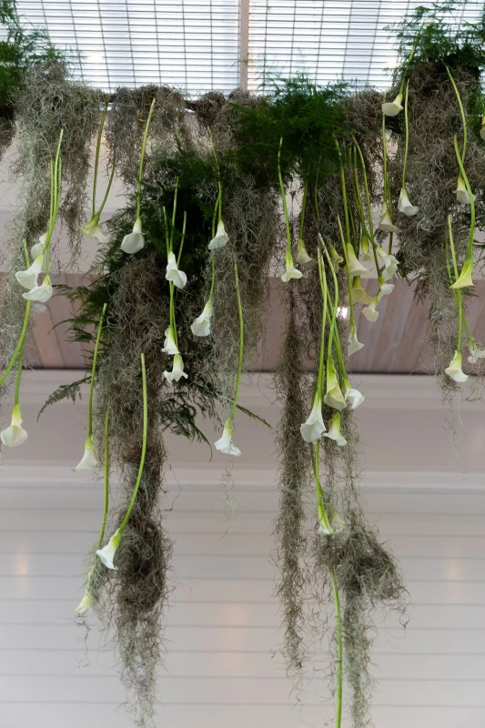 An Elevated Wedding for Vanessa and Michael