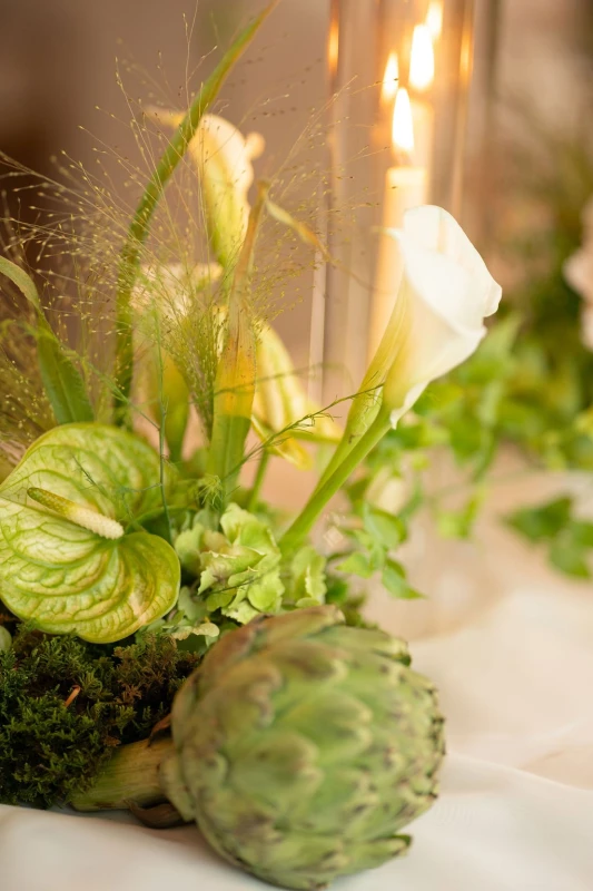 An Elevated Wedding for Vanessa and Michael