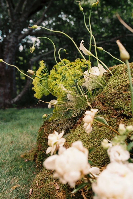 An Elevated Wedding for Vanessa and Michael