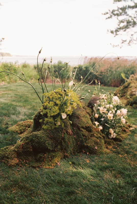 An Elevated Wedding for Vanessa and Michael
