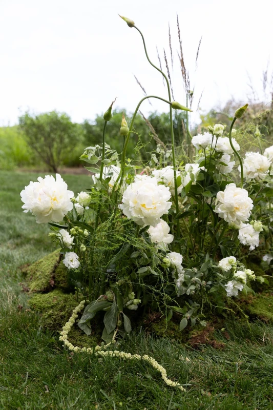 An Elevated Wedding for Vanessa and Michael