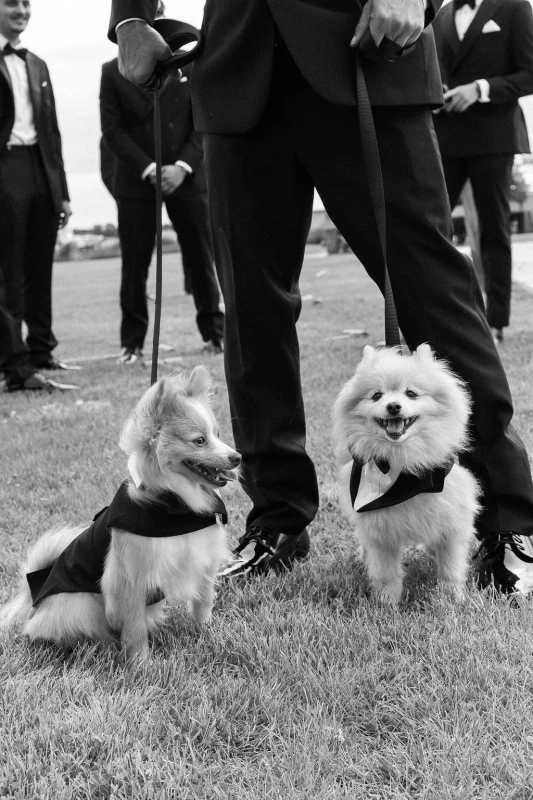 An Elevated Wedding for Vanessa and Michael