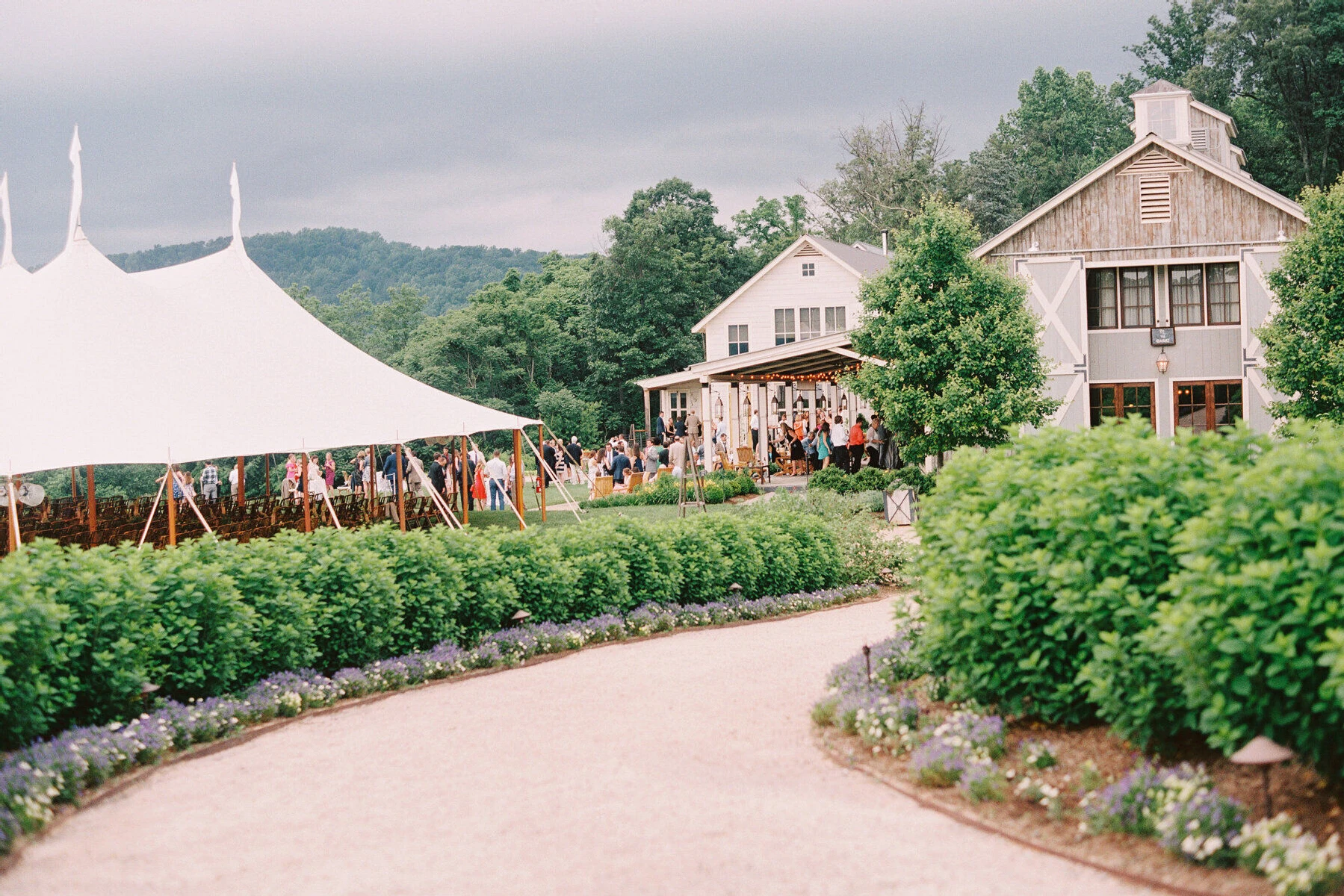 Wedding Venue: Explore Wedding Venue, Pippin Hill Farm & Vineyards