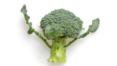Brocolli that looks like a person
