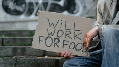 Homeless man holding a sign saying will work for food 1024x683