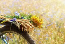 short july quotes