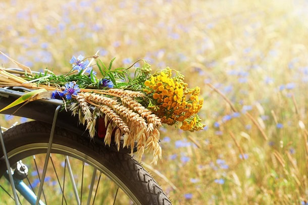 Positive, Beautiful and Funny Sayings to Welcome This Summer Month 1 short july quotes