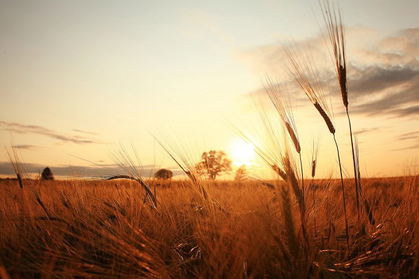 Funny, Positive and Beautiful Sayings for The Last Days of Summer 1 short august quotes